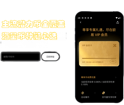 投票功能界面